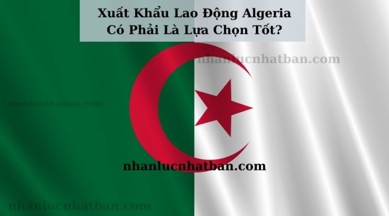 Xuất Khẩu Lao Động Algeria Có Phải Là Lựa Chọn Tốt
