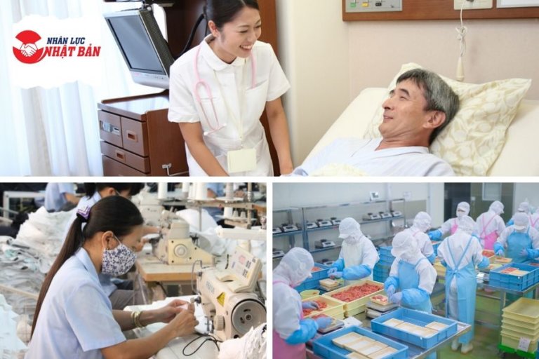 Trang Chủ 31 xuất khẩu lao động Nhật nên chọn ngành gì lương cao