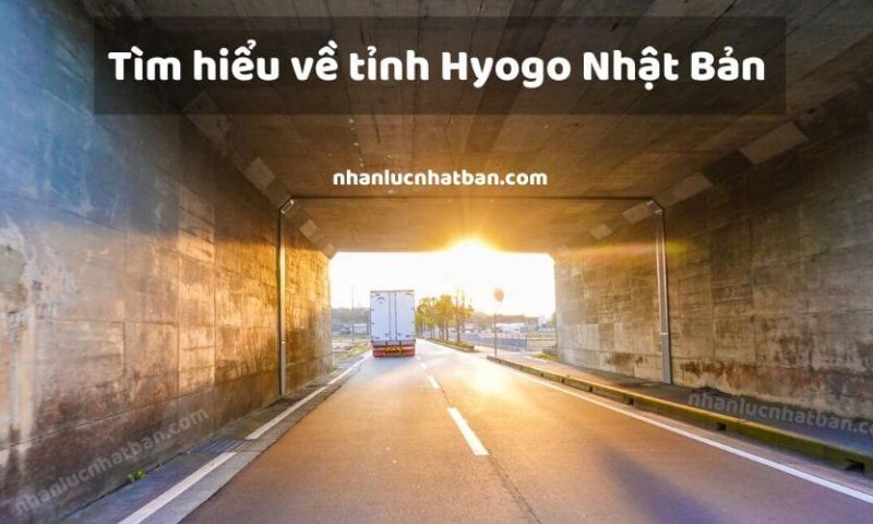Hyogo là một tỉnh thuộc đảo Honshu của Nhật Bản. Với nền kinh tế phát triển, hàng năm tỉnh Hyogo Nhật Bản đón nhận hàng ngàn du học sinh và người lao động Việt Nam đến làm việc